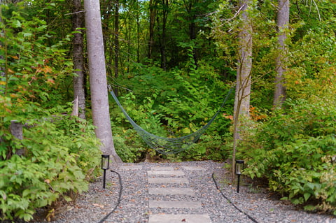 Sentier en forêt
