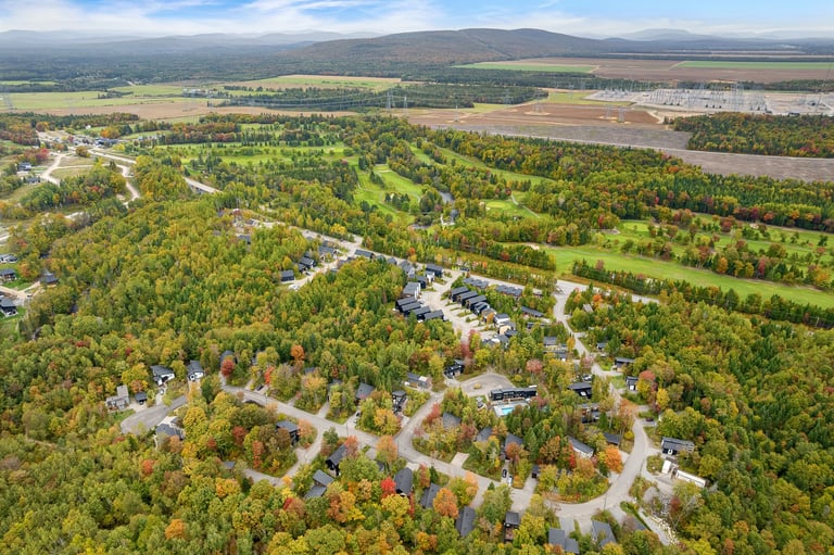 Aerial view of a suburban residential neighborhood with winding streets, surrounded by dense green forest and agricultural fields in the distance